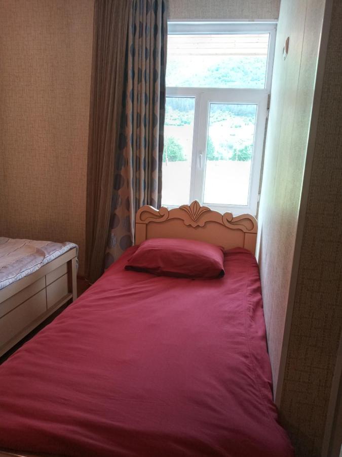 Guest House Tavaduri 梅斯蒂亚 外观 照片
