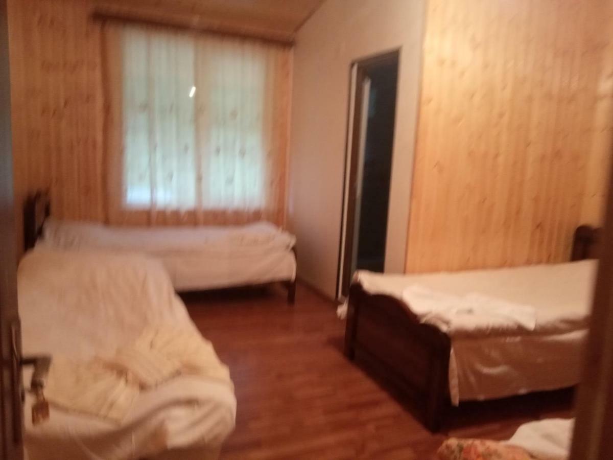 Guest House Tavaduri 梅斯蒂亚 外观 照片